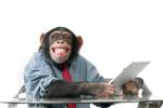 Monkey iPad.jpg